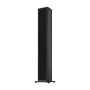 Активная напольная акустика PIEGA Premium 501 Wireless Gen 2 AB